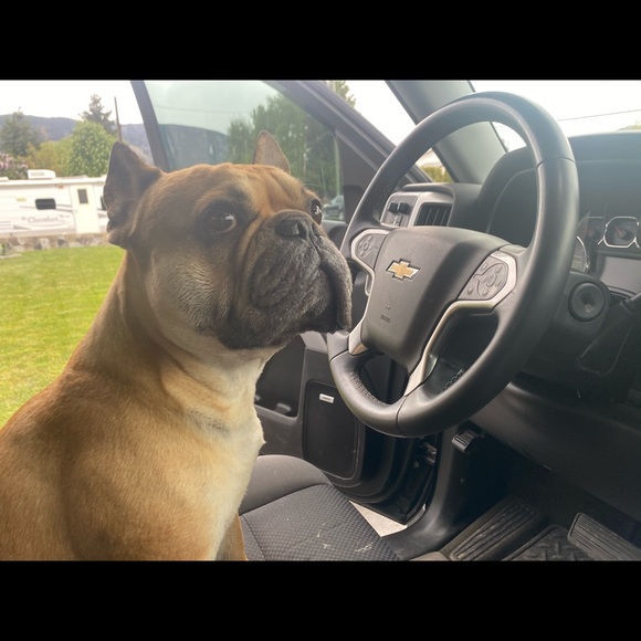 Meet your Posher, Paige - Picture 2 of 4